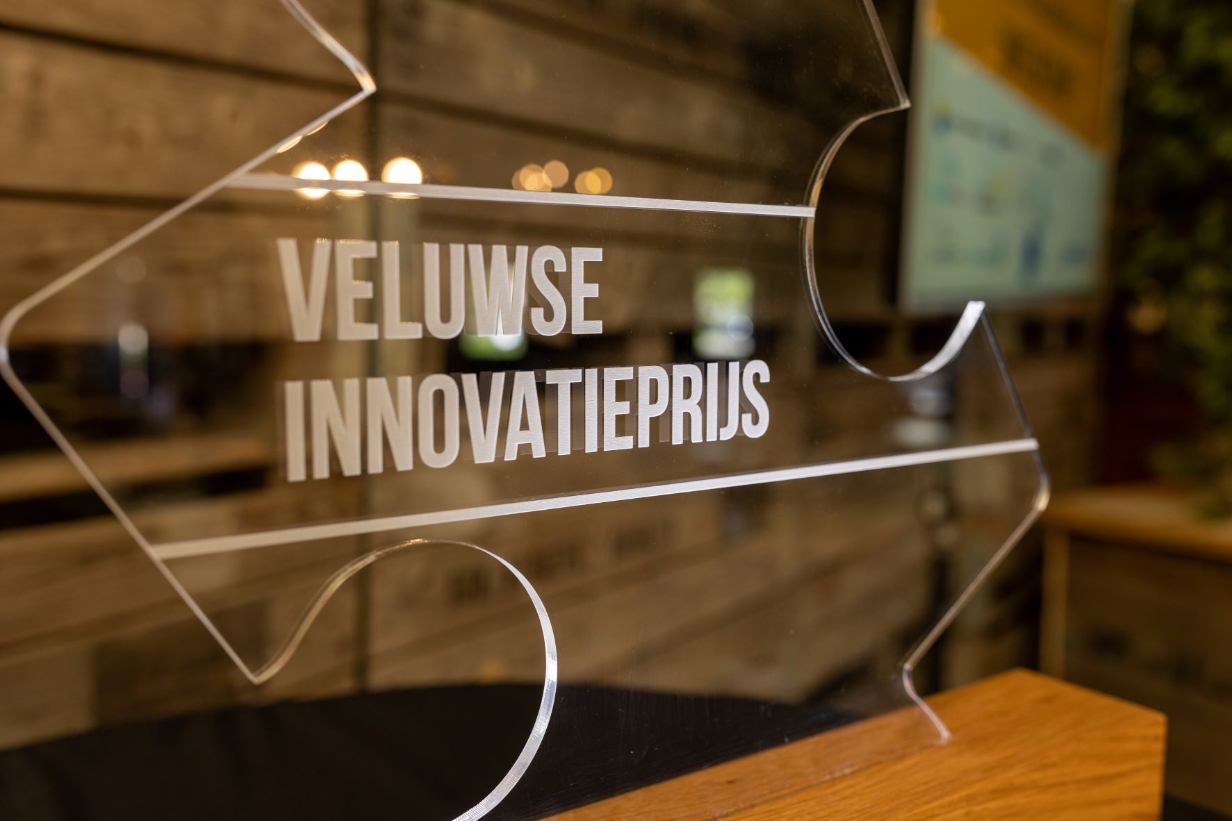 <strong>Veluwse Innovatieprijs 2023</strong>